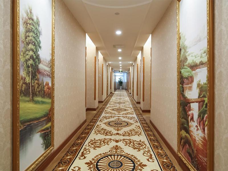 Vienna Hotel Nanjing Olympic Sports Center Nanquim Exterior foto